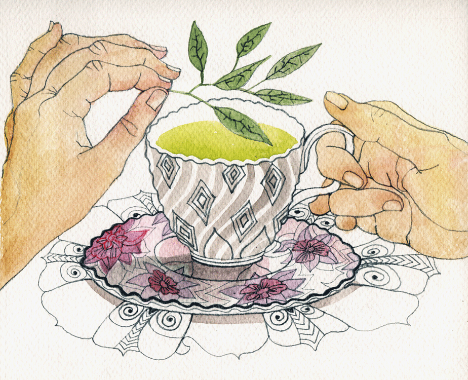 cup of herb tea